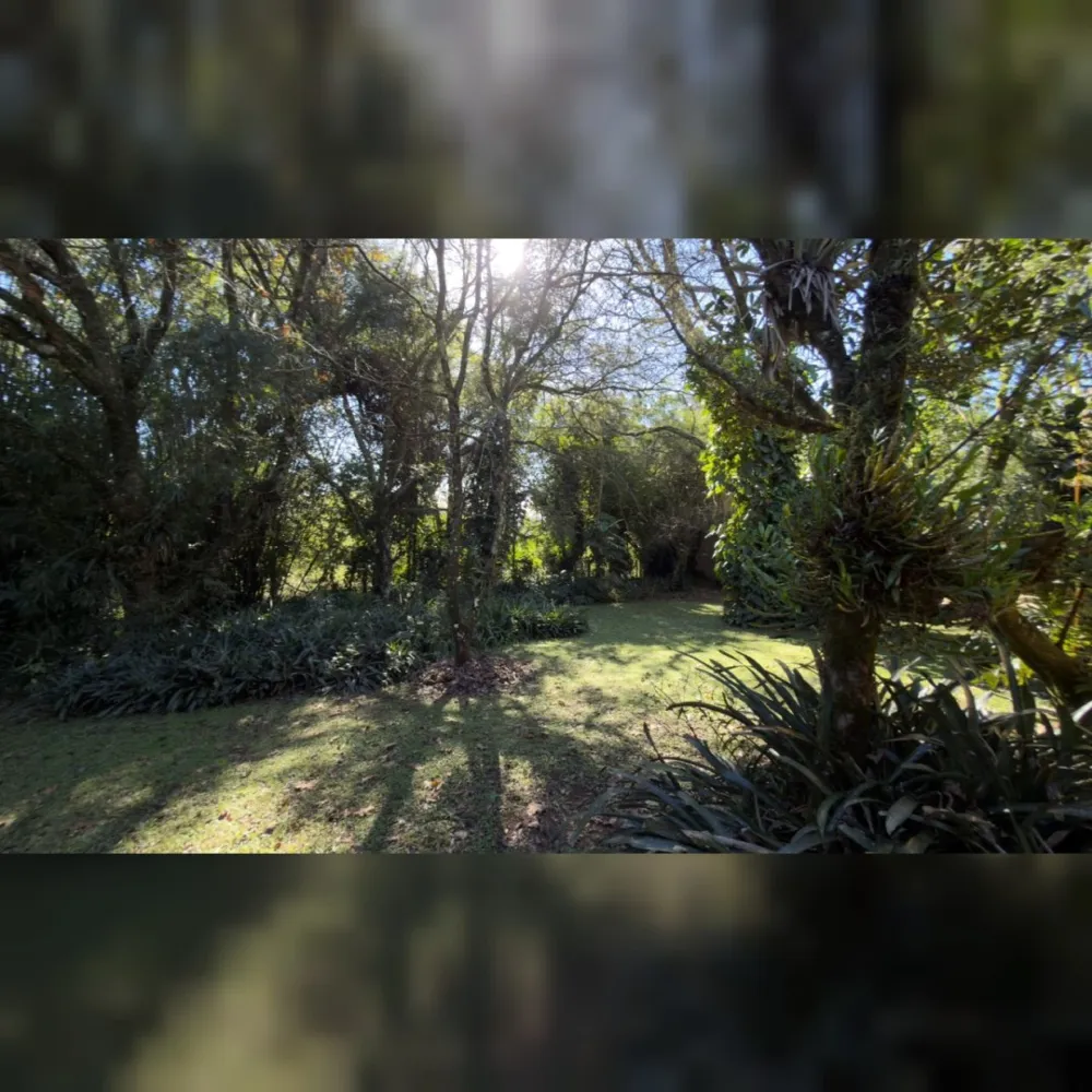 Sítio / Chácara para Venda no bairro Santa Cruz da Concórdia em Taquara/RS