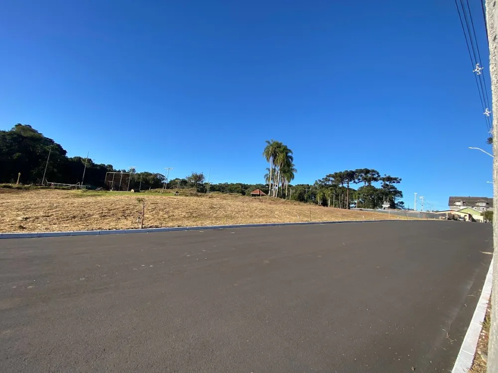 Lote para venda no bairro Logradouro em Nova Petrópolis
