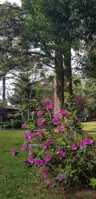 Apartamento para venda no bairro Centro em Gramado
