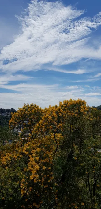 Apartamento para venda no bairro Centro em Gramado
