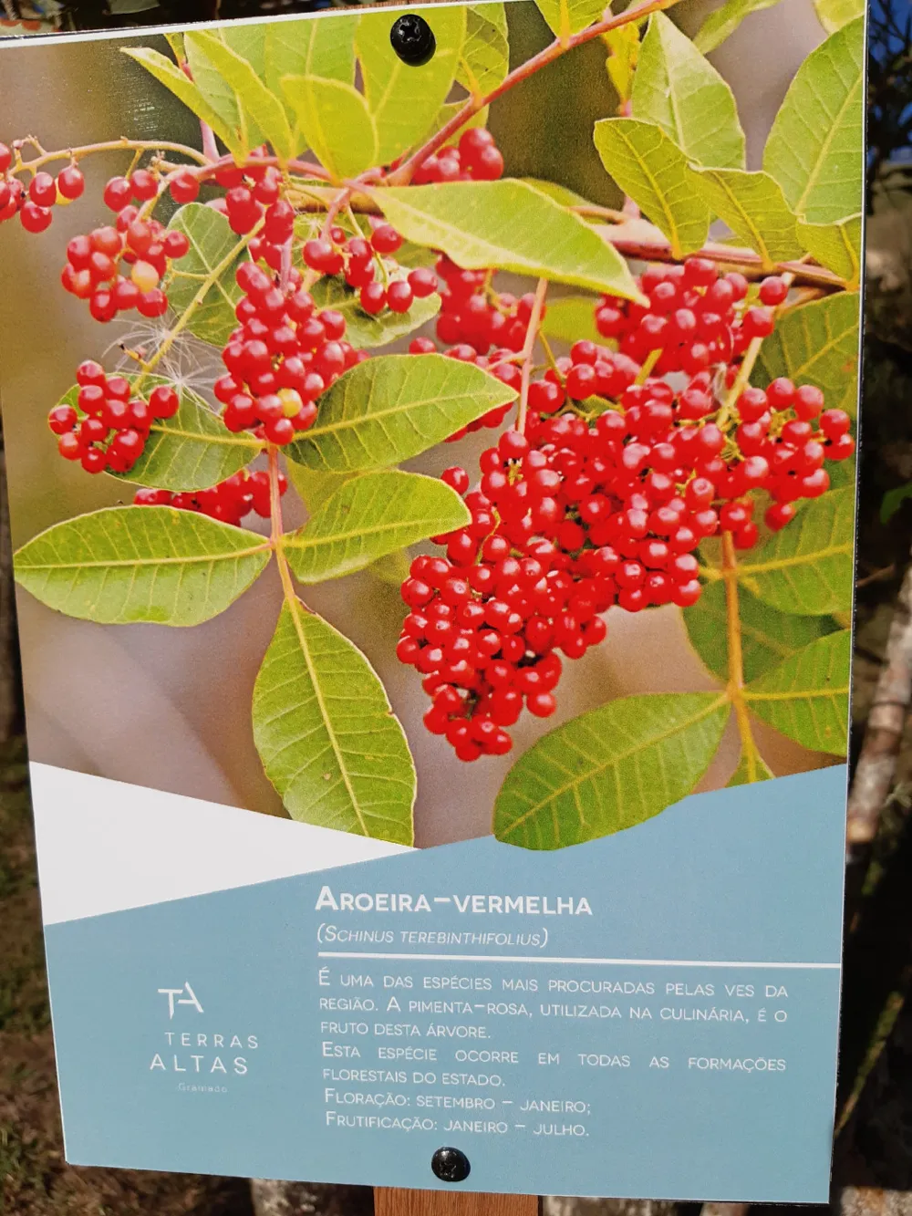 Lote para venda no bairro Portico em Gramado