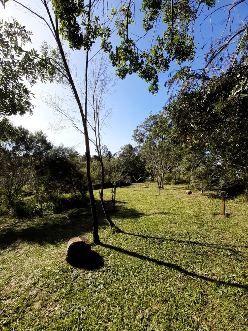 Lote para venda no bairro Portico em Gramado