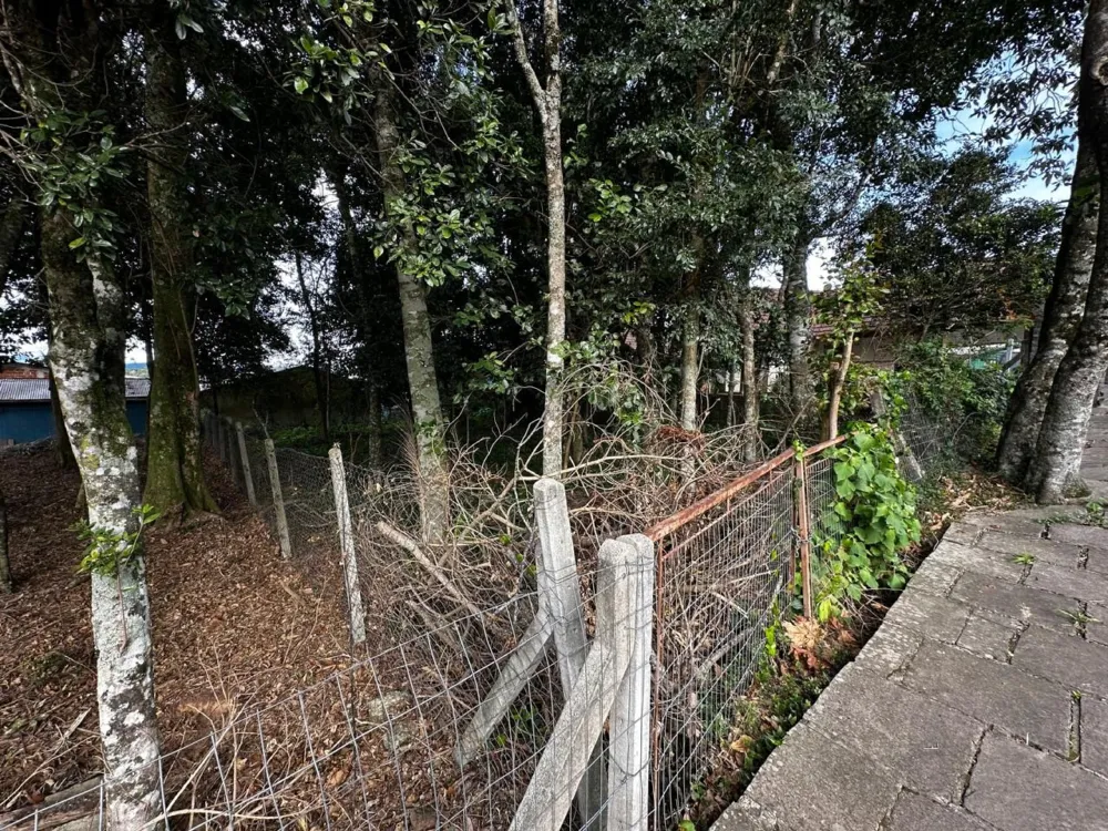 Terreno Padrão para venda no bairro Belvedere em Gramado