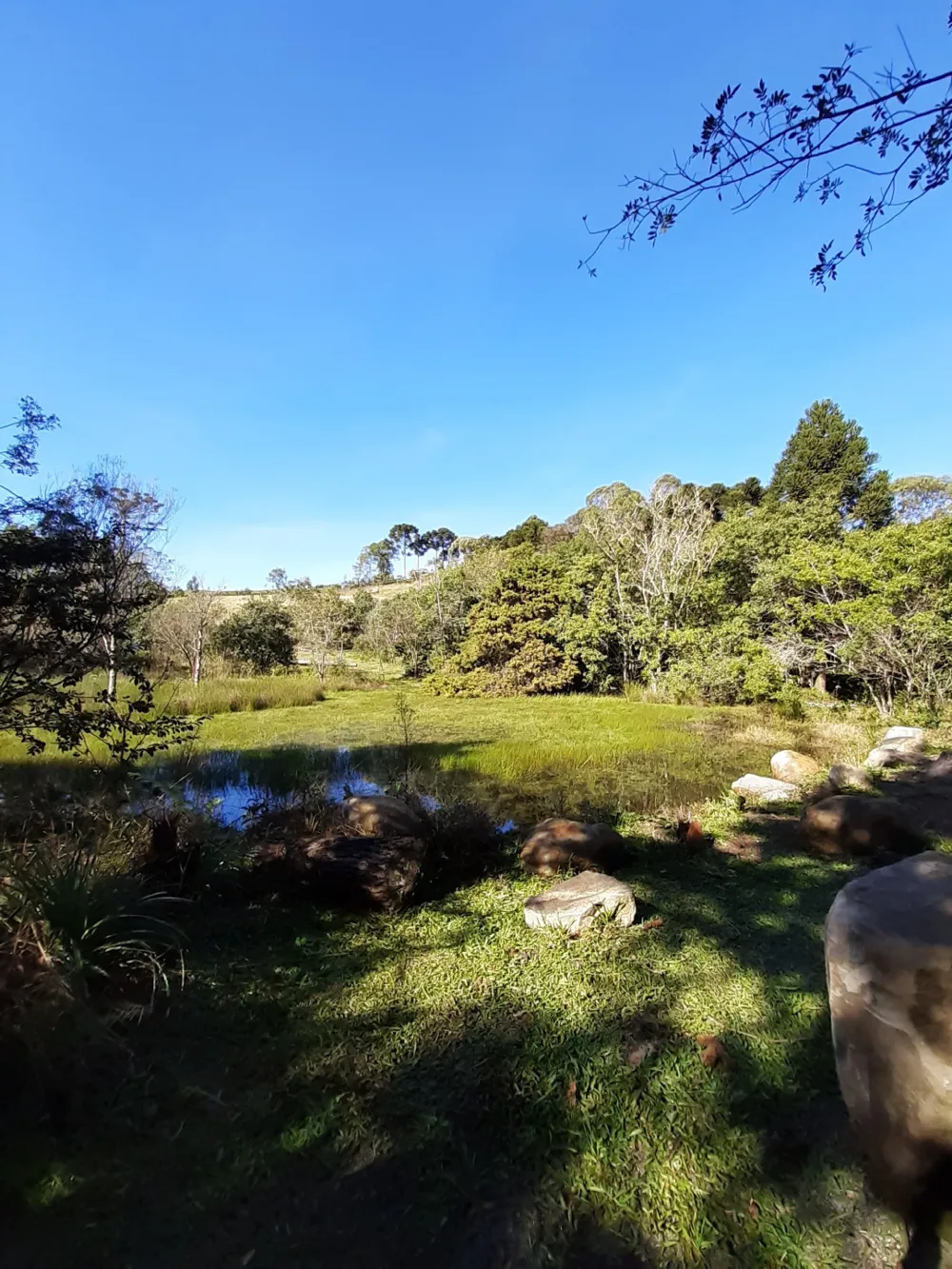 Lote para venda no bairro Portico em Gramado