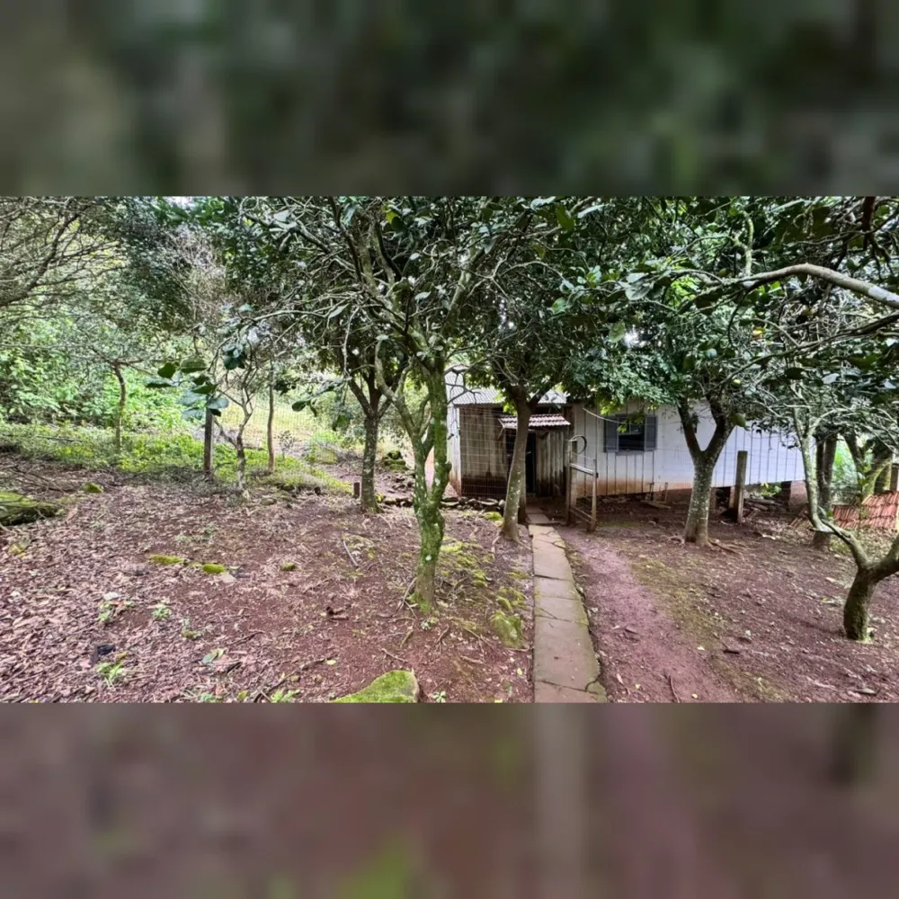 Chácara de 5.000m² em Nova Hartz – Linda Vista Panorâmica