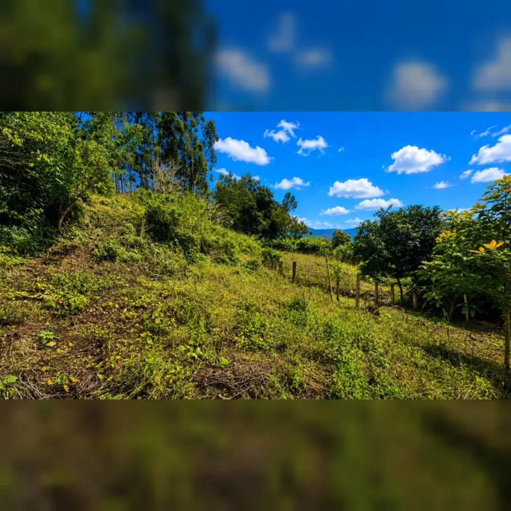 Chácara de 5.000m² em Nova Hartz – Linda Vista Panorâmica