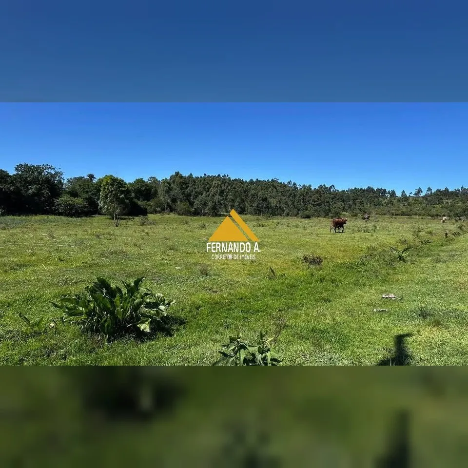 Sítio / Chácara para Venda no bairro Aldeia Velha em Santo Antônio da Patrulha