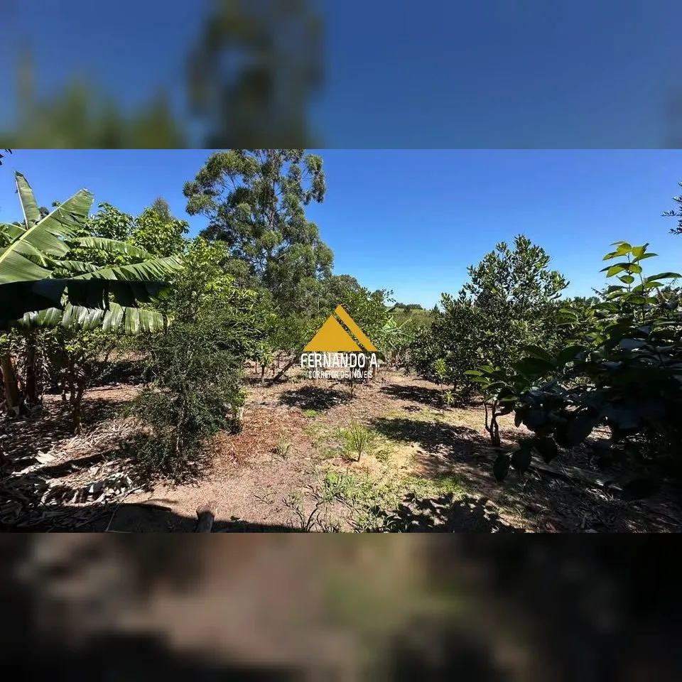 Sítio / Chácara para Venda no bairro Aldeia Velha em Santo Antônio da Patrulha