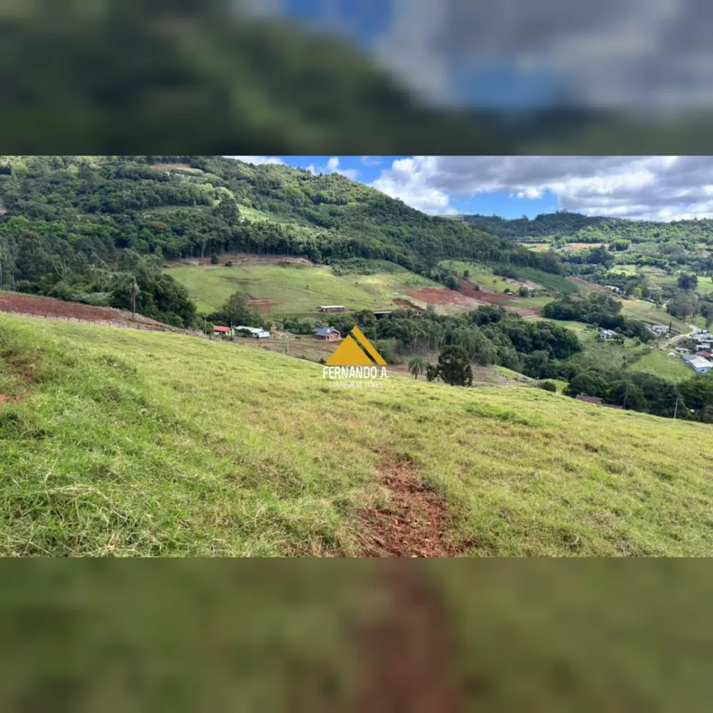 VENDE-SE ÁREA DE 4 HECTARES COM VISTA PANORÂMICA – PRÓXIMO A GRAMADO