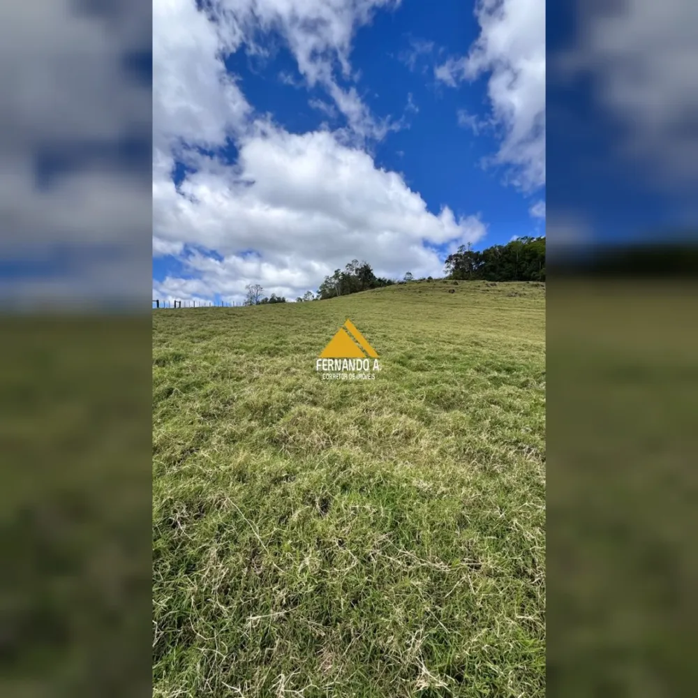 VENDE-SE ÁREA DE 4 HECTARES COM VISTA PANORÂMICA – PRÓXIMO A GRAMADO