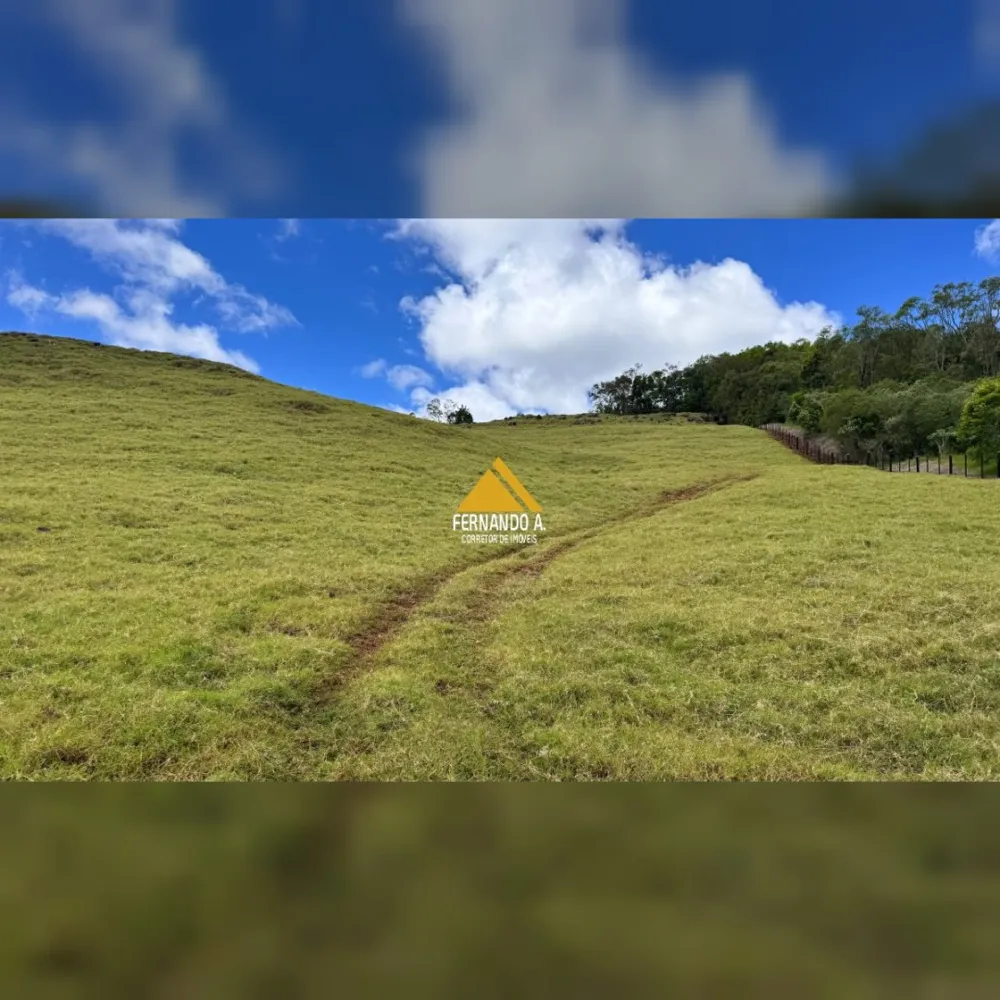 VENDE-SE ÁREA DE 4 HECTARES COM VISTA PANORÂMICA – PRÓXIMO A GRAMADO
