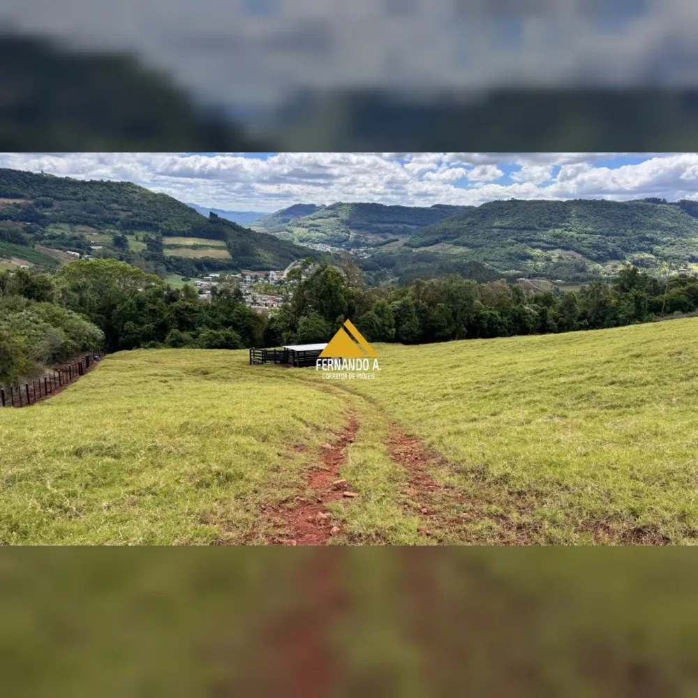 VENDE-SE ÁREA DE 4 HECTARES COM VISTA PANORÂMICA – PRÓXIMO A GRAMADO