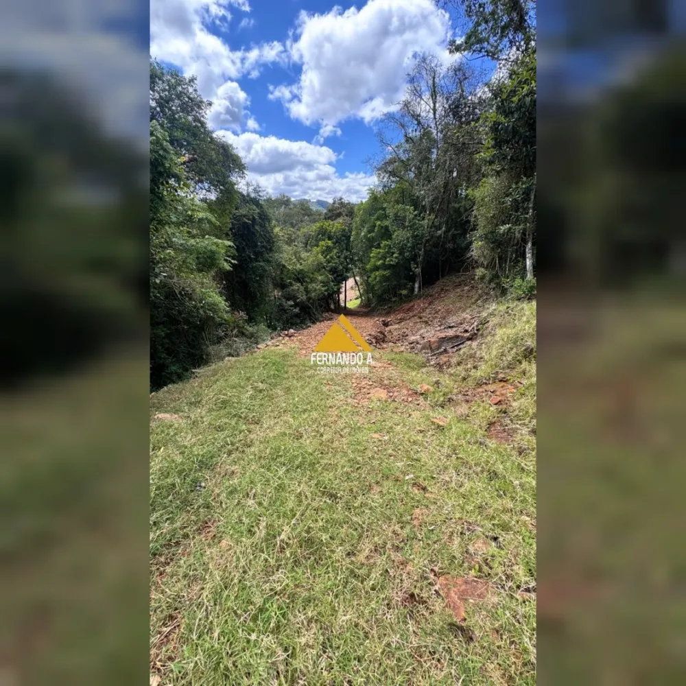 VENDE-SE ÁREA DE 4 HECTARES COM VISTA PANORÂMICA – PRÓXIMO A GRAMADO