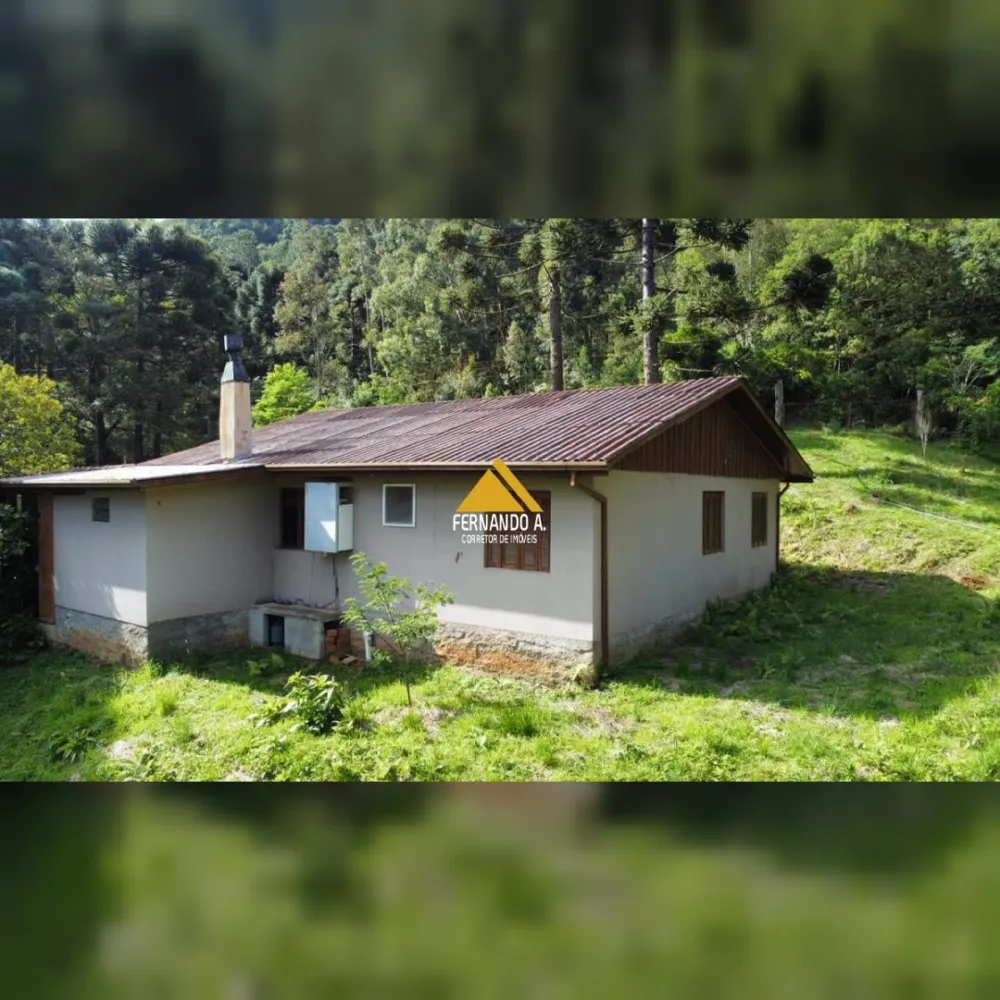 SÍTIO DE 3 HECTARES COM CASA EM SÃO FRANCISCO DE PAULA/RS – LOCALIDADE DA SAMAMBAIA