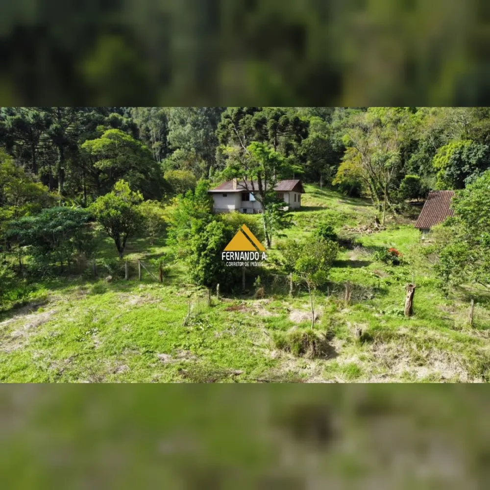 SÍTIO DE 3 HECTARES COM CASA EM SÃO FRANCISCO DE PAULA/RS – LOCALIDADE DA SAMAMBAIA