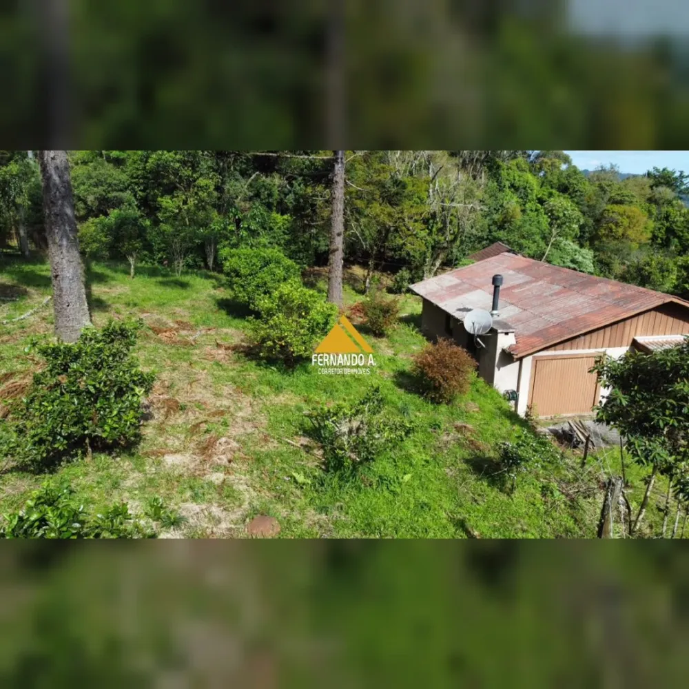 SÍTIO DE 3 HECTARES COM CASA EM SÃO FRANCISCO DE PAULA/RS – LOCALIDADE DA SAMAMBAIA