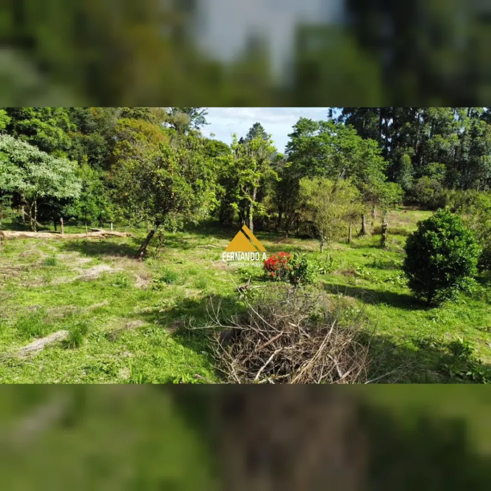 SÍTIO DE 3 HECTARES COM CASA EM SÃO FRANCISCO DE PAULA/RS – LOCALIDADE DA SAMAMBAIA