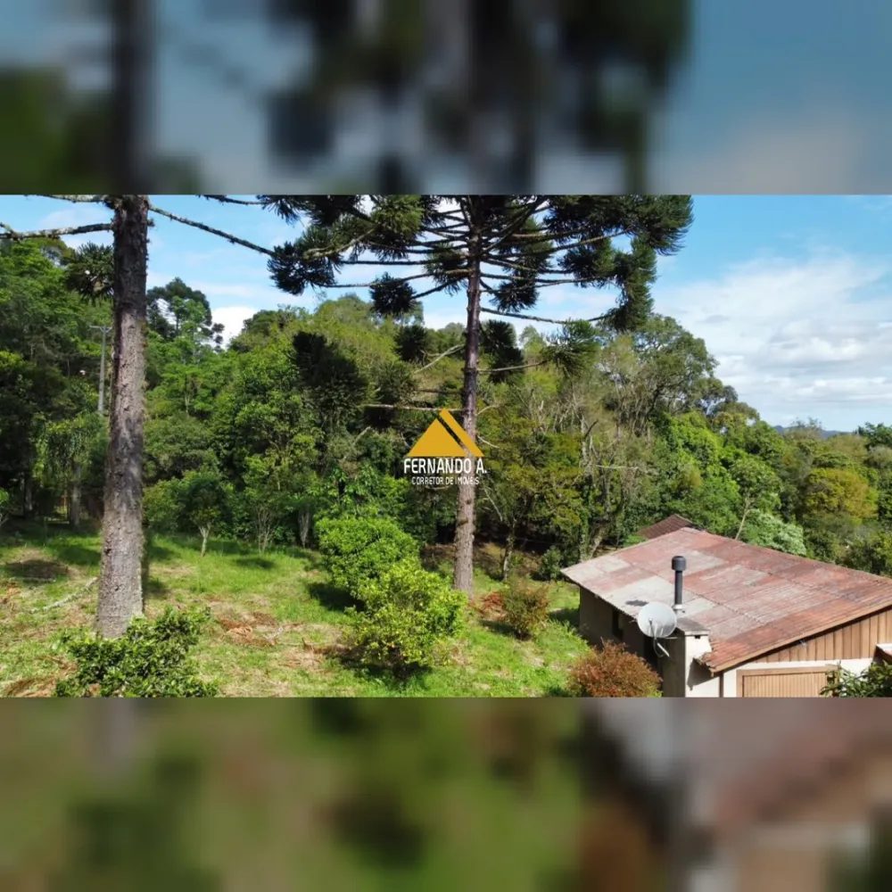 SÍTIO DE 3 HECTARES COM CASA EM SÃO FRANCISCO DE PAULA/RS – LOCALIDADE DA SAMAMBAIA