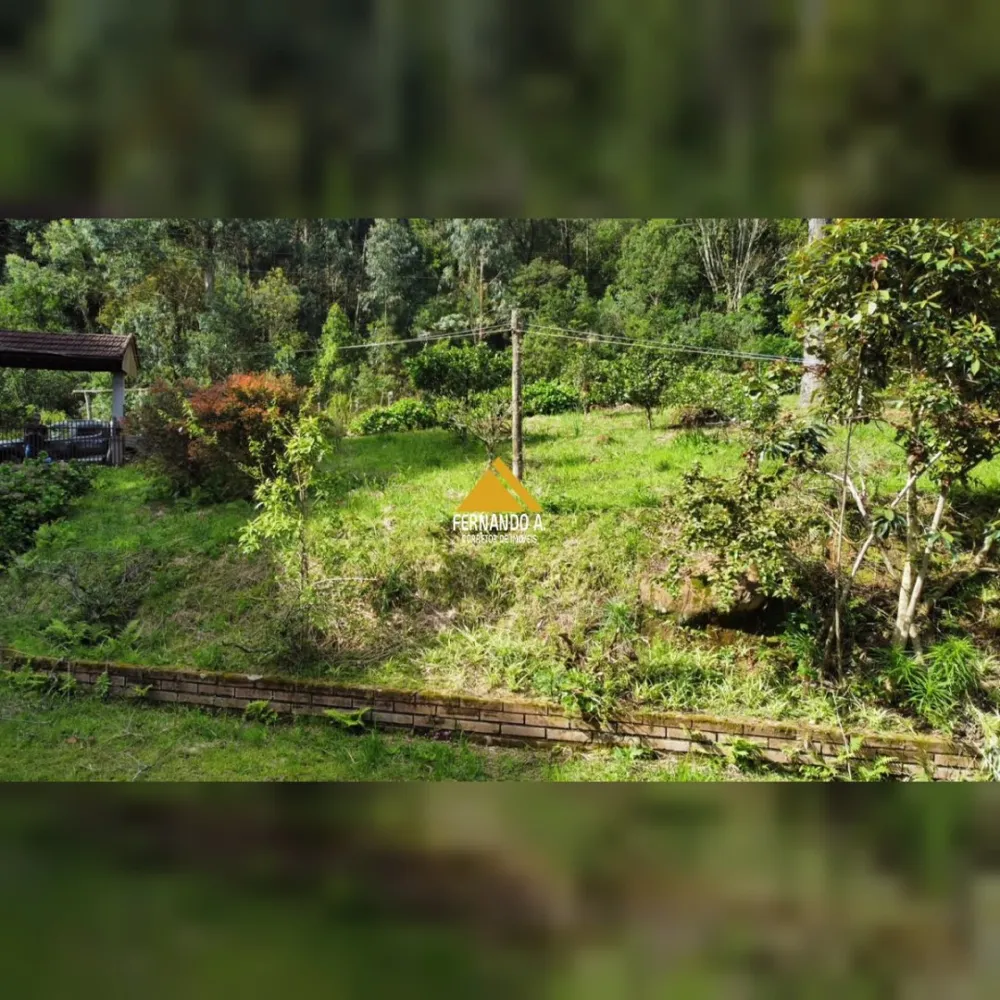 SÍTIO DE 3 HECTARES COM CASA EM SÃO FRANCISCO DE PAULA/RS – LOCALIDADE DA SAMAMBAIA