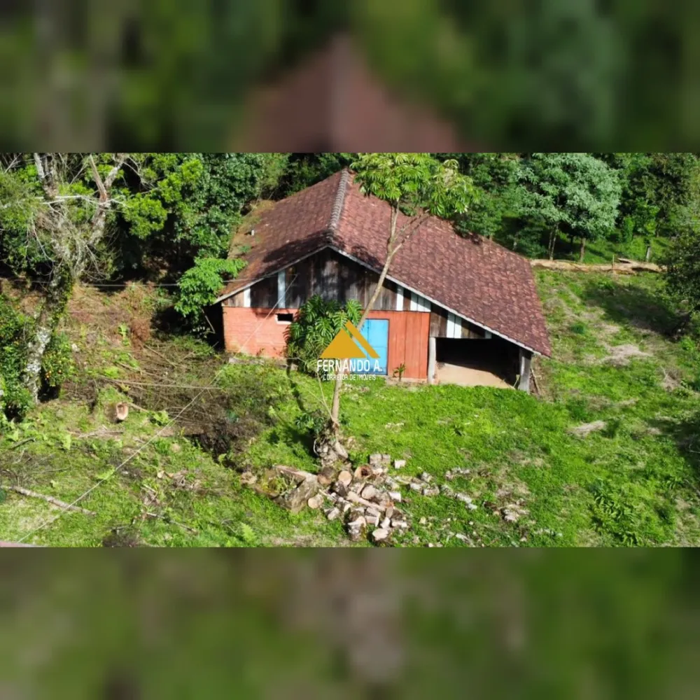 SÍTIO DE 3 HECTARES COM CASA EM SÃO FRANCISCO DE PAULA/RS – LOCALIDADE DA SAMAMBAIA