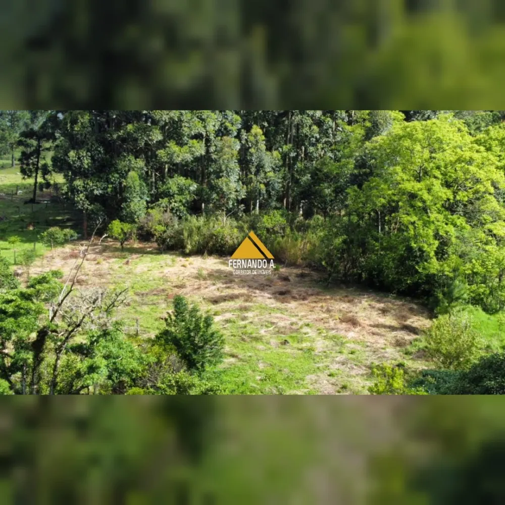 SÍTIO DE 3 HECTARES COM CASA EM SÃO FRANCISCO DE PAULA/RS – LOCALIDADE DA SAMAMBAIA