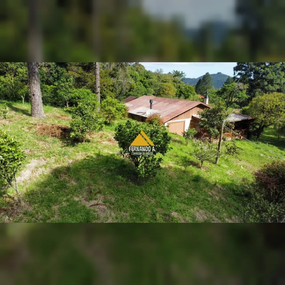 SÍTIO DE 3 HECTARES COM CASA EM SÃO FRANCISCO DE PAULA/RS – LOCALIDADE DA SAMAMBAIA