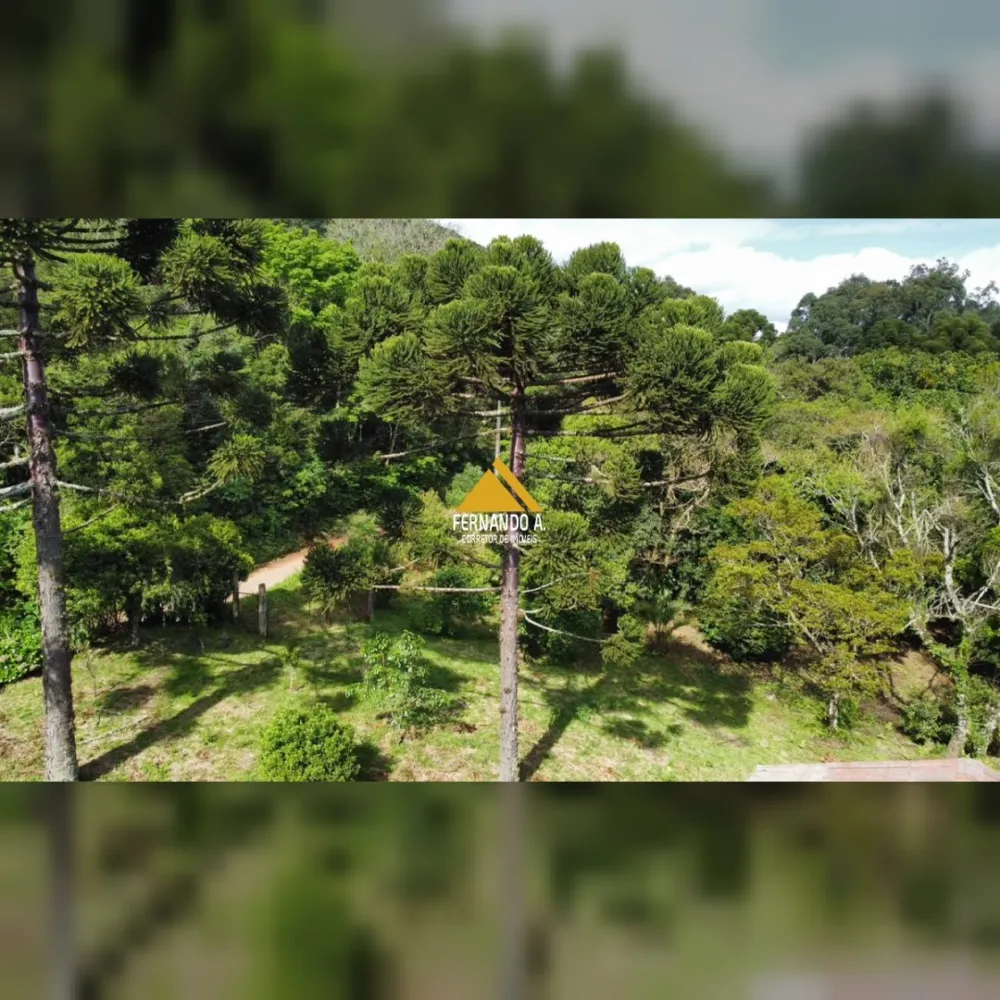 SÍTIO DE 3 HECTARES COM CASA EM SÃO FRANCISCO DE PAULA/RS – LOCALIDADE DA SAMAMBAIA