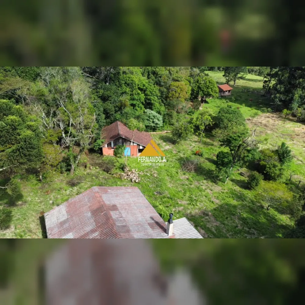 SÍTIO DE 3 HECTARES COM CASA EM SÃO FRANCISCO DE PAULA/RS – LOCALIDADE DA SAMAMBAIA