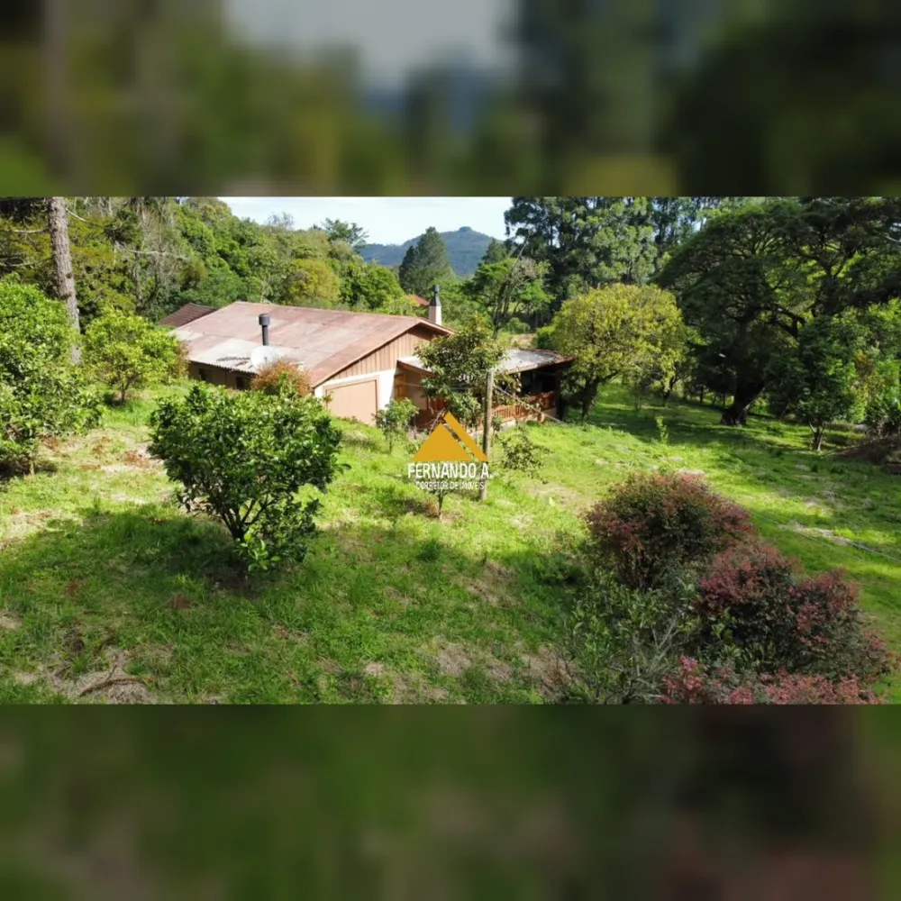 SÍTIO DE 3 HECTARES COM CASA EM SÃO FRANCISCO DE PAULA/RS – LOCALIDADE DA SAMAMBAIA