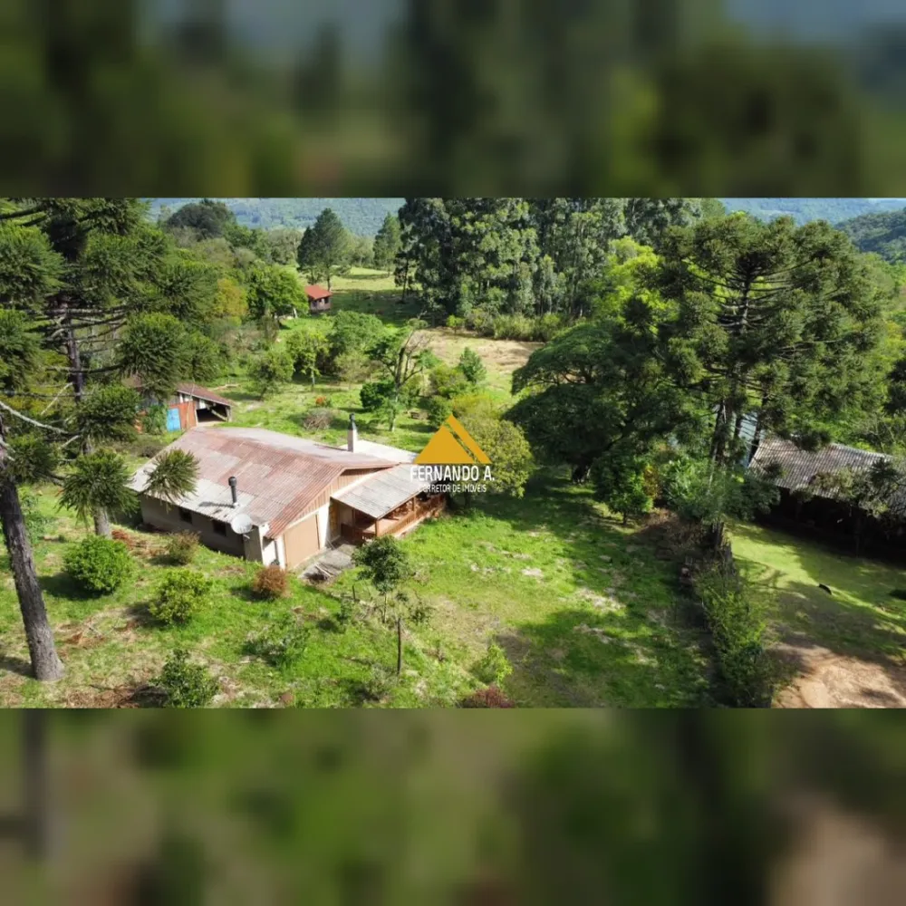 SÍTIO DE 3 HECTARES COM CASA EM SÃO FRANCISCO DE PAULA/RS – LOCALIDADE DA SAMAMBAIA