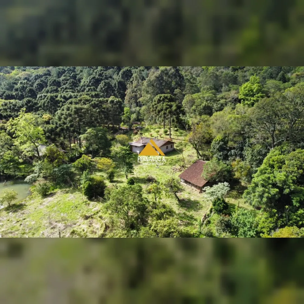 SÍTIO DE 3 HECTARES COM CASA EM SÃO FRANCISCO DE PAULA/RS – LOCALIDADE DA SAMAMBAIA
