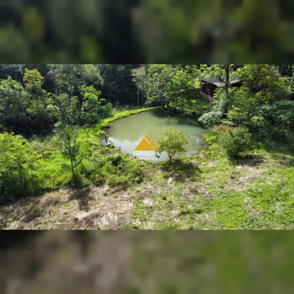 SÍTIO DE 3 HECTARES COM CASA EM SÃO FRANCISCO DE PAULA/RS – LOCALIDADE DA SAMAMBAIA