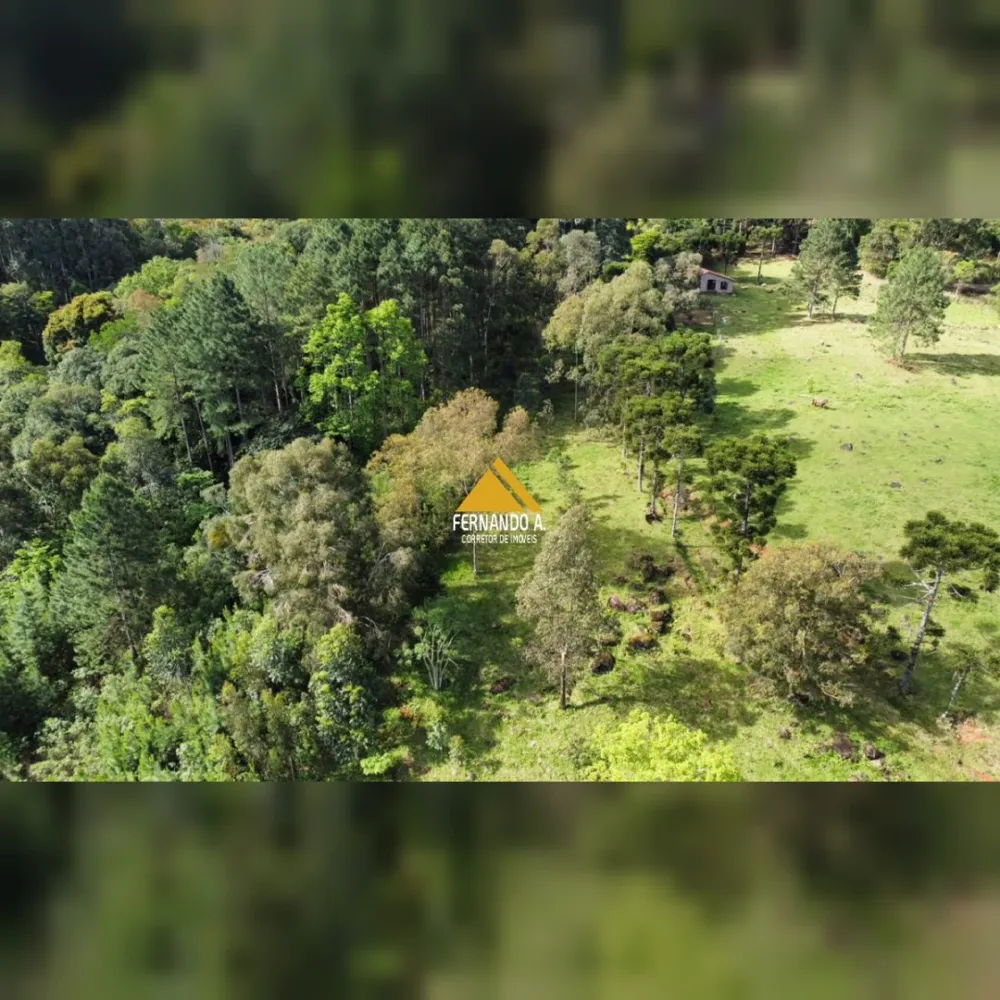 SÍTIO DE 3 HECTARES COM CASA EM SÃO FRANCISCO DE PAULA/RS – LOCALIDADE DA SAMAMBAIA