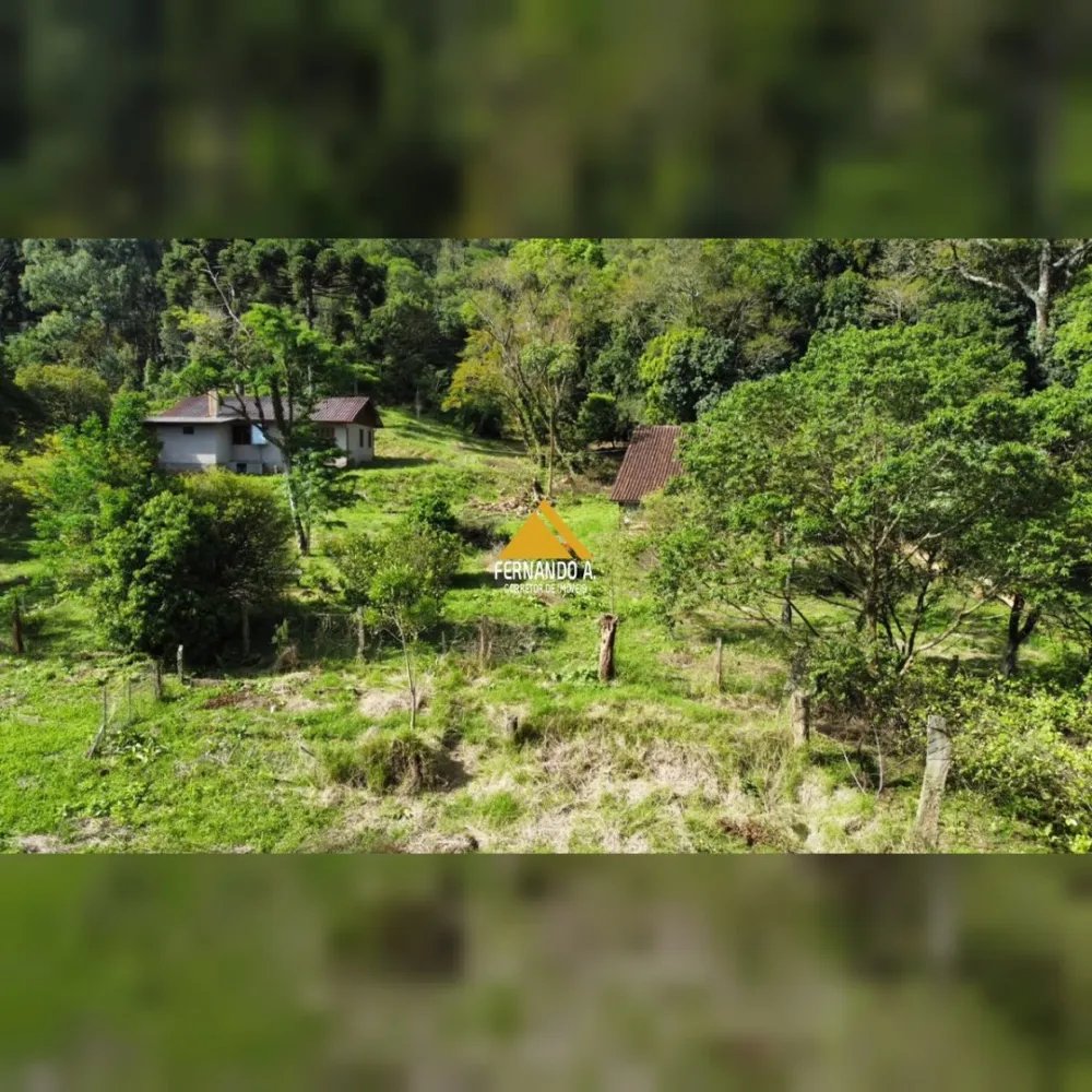 SÍTIO DE 3 HECTARES COM CASA EM SÃO FRANCISCO DE PAULA/RS – LOCALIDADE DA SAMAMBAIA