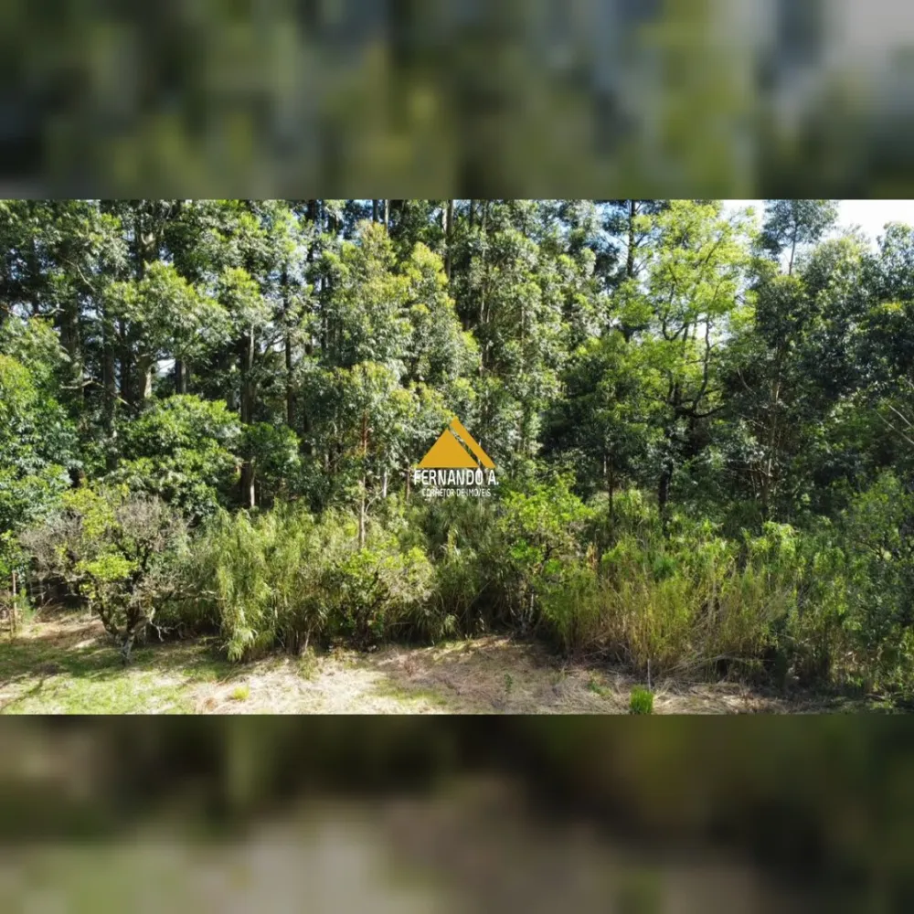 SÍTIO DE 3 HECTARES COM CASA EM SÃO FRANCISCO DE PAULA/RS – LOCALIDADE DA SAMAMBAIA