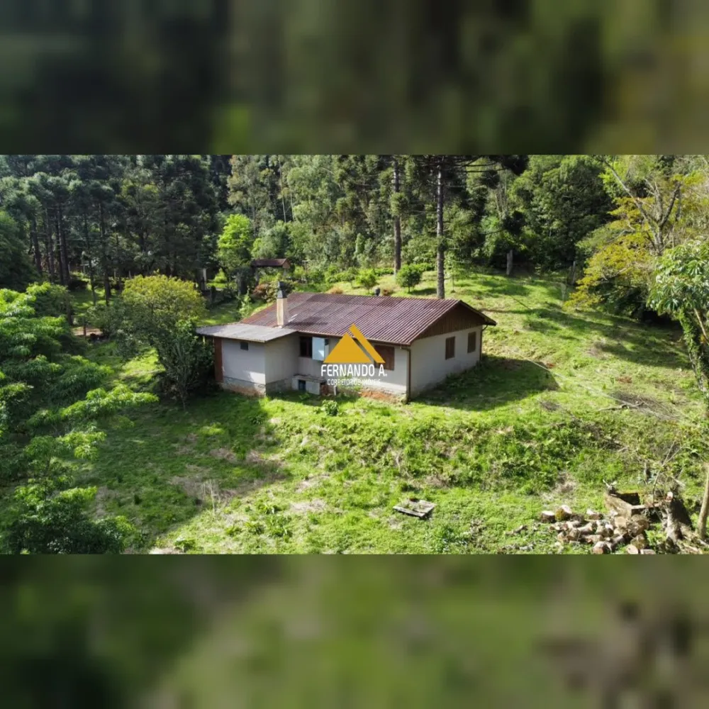 SÍTIO DE 3 HECTARES COM CASA EM SÃO FRANCISCO DE PAULA/RS – LOCALIDADE DA SAMAMBAIA