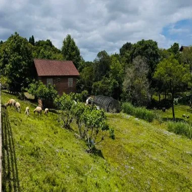 Sítio / Chácara 2 quartos para Venda no bairro Serra Grande em Três Coroas