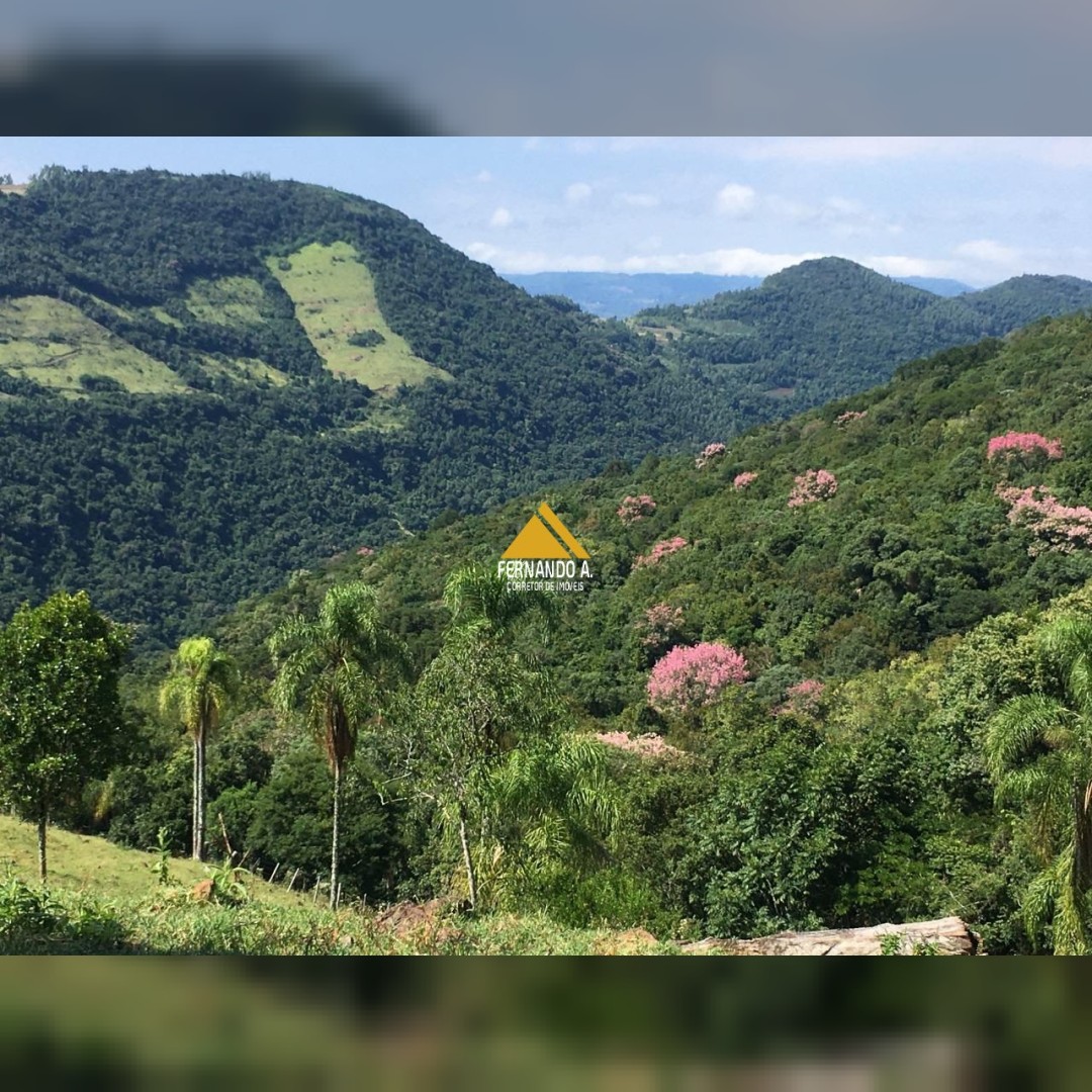 Sítio / Chácara para Venda no bairro Zona Rural em Nova Petrópolis