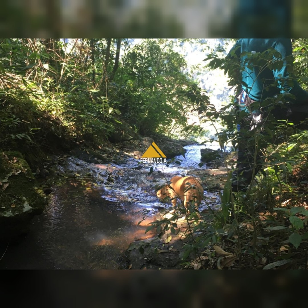 Sítio / Chácara para Venda no bairro Zona Rural em Nova Petrópolis