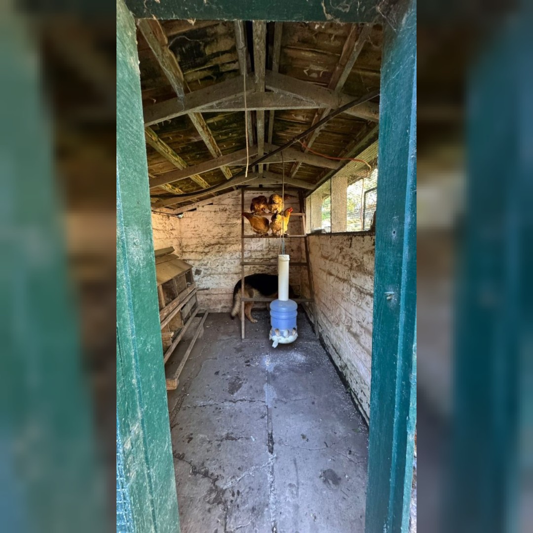 Sítio / Chácara para Venda no bairro Santa Cruz da Concórdia em Taquara/RS