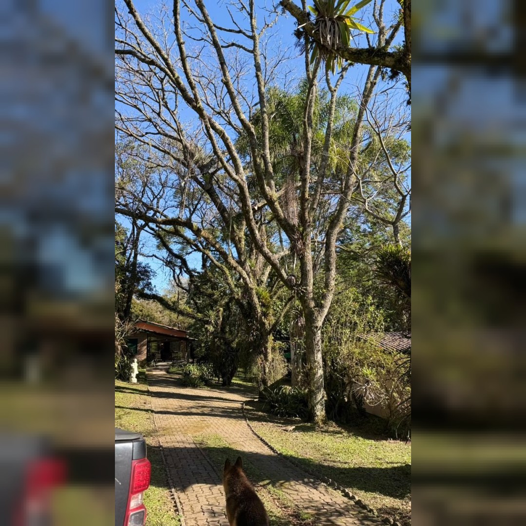 Sítio / Chácara para Venda no bairro Santa Cruz da Concórdia em Taquara/RS