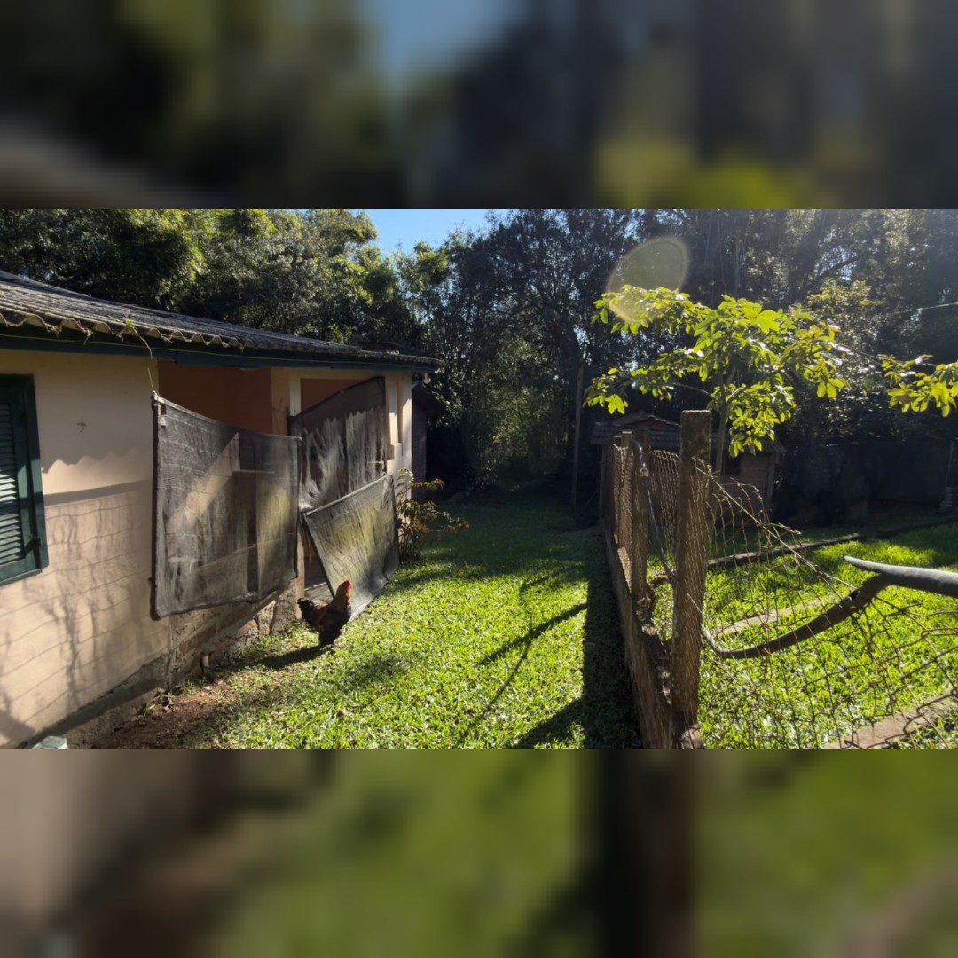 Sítio / Chácara para Venda no bairro Santa Cruz da Concórdia em Taquara/RS