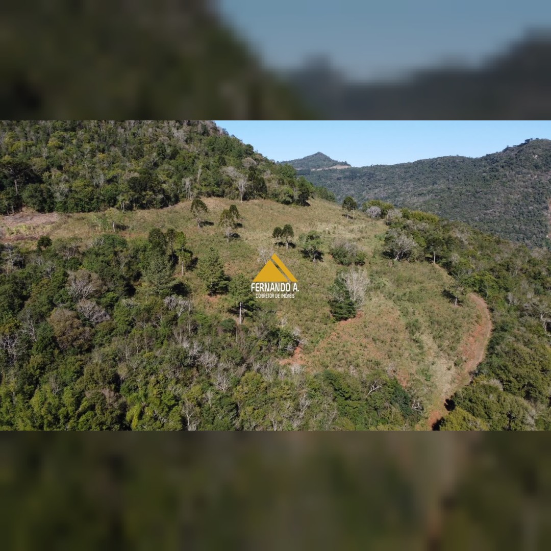SÍTIO À VENDA EM GRAMADO/RS - 27 HECTARES - POTENCIAL TURÍSTICO - VISTA PARA O RIO CAÍ