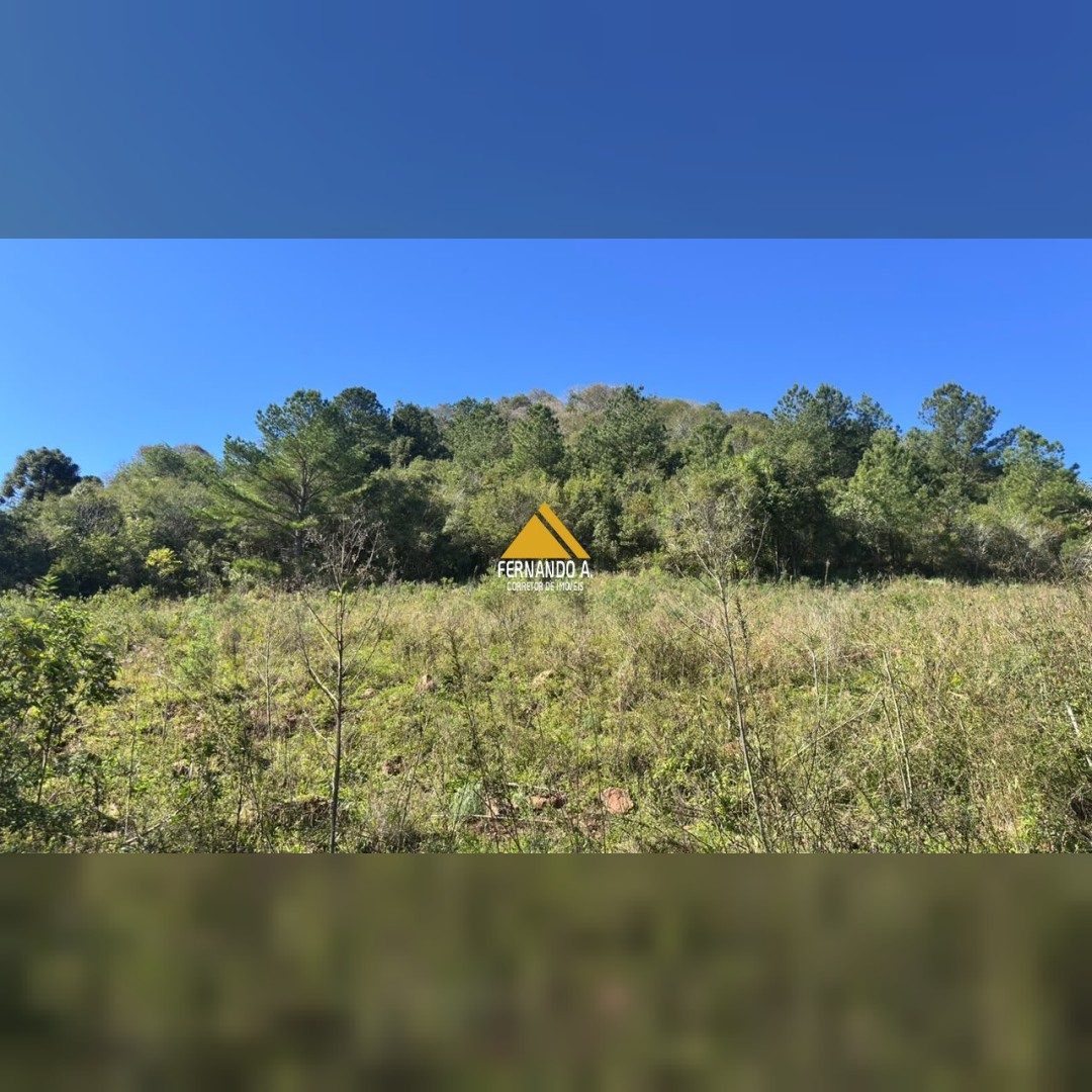 SÍTIO À VENDA EM GRAMADO/RS - 27 HECTARES - POTENCIAL TURÍSTICO - VISTA PARA O RIO CAÍ