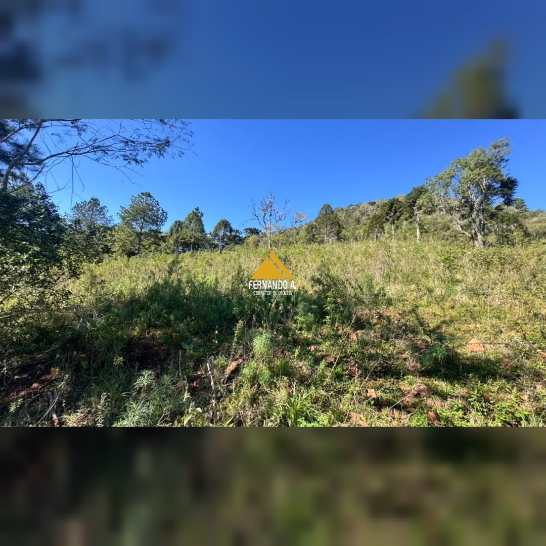 SÍTIO À VENDA EM GRAMADO/RS - 27 HECTARES - POTENCIAL TURÍSTICO - VISTA PARA O RIO CAÍ