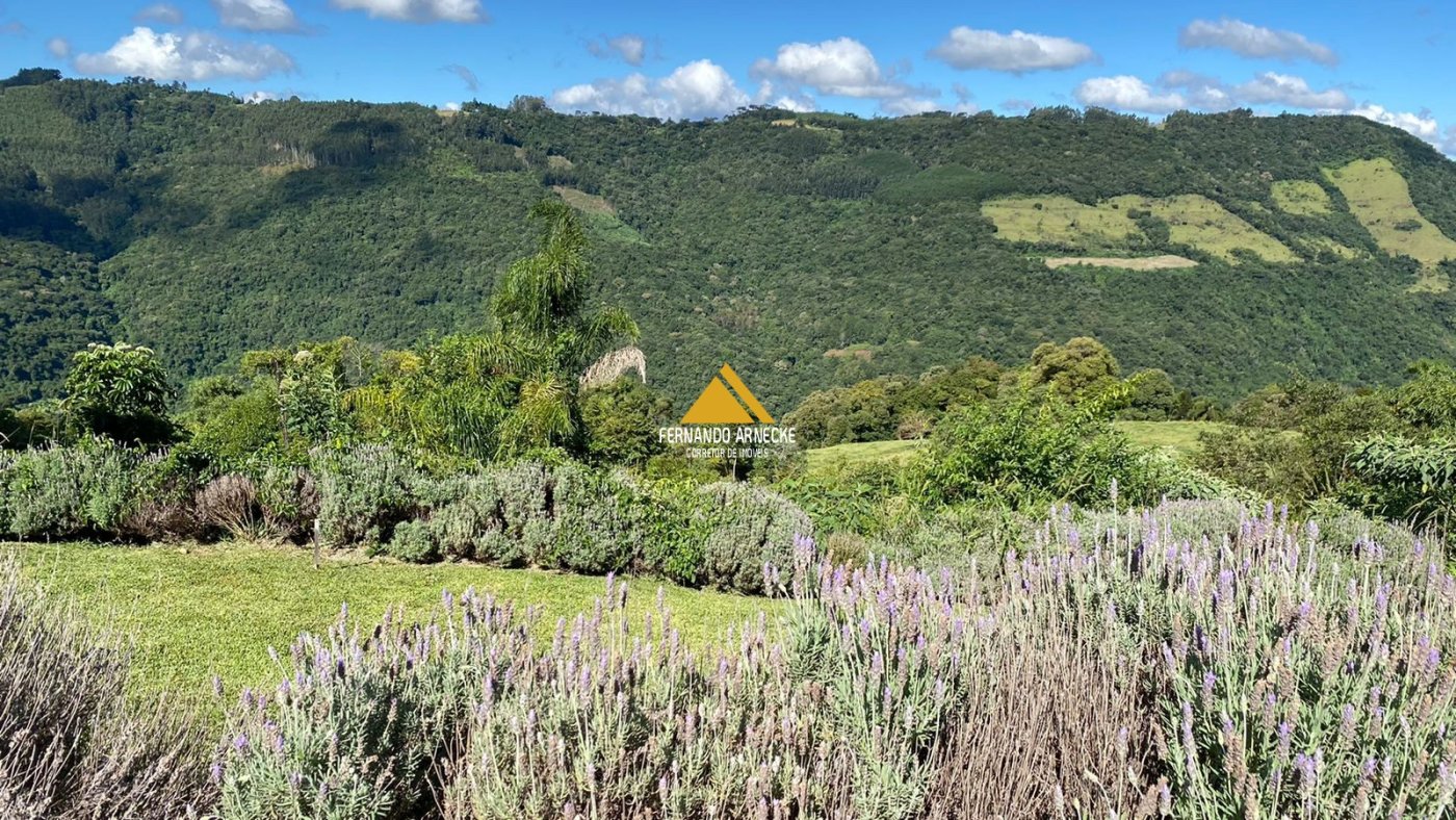 Sítio, 4 quartos, 10 hectares - Foto 4