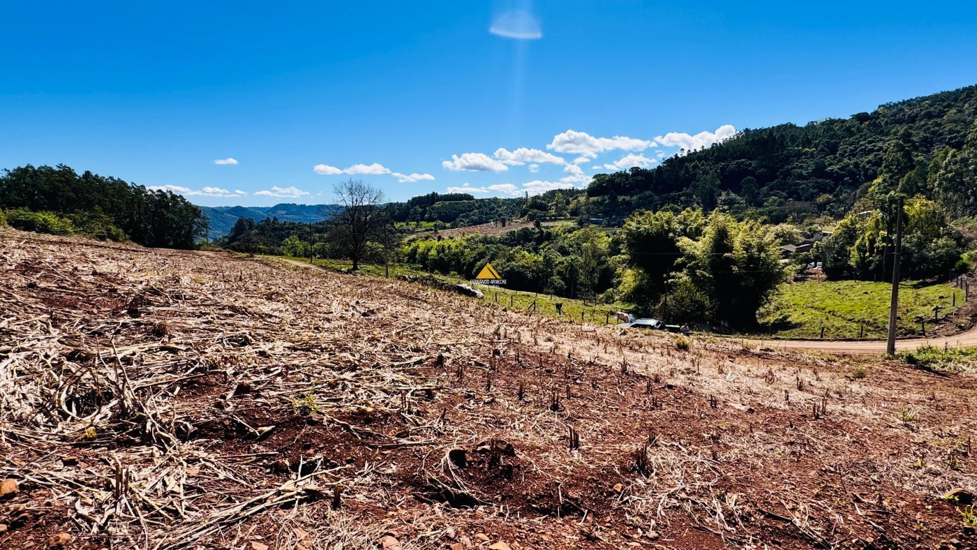 Sítio / Chácara para Venda no bairro Linha Quatro Cantos em Morro Reuter