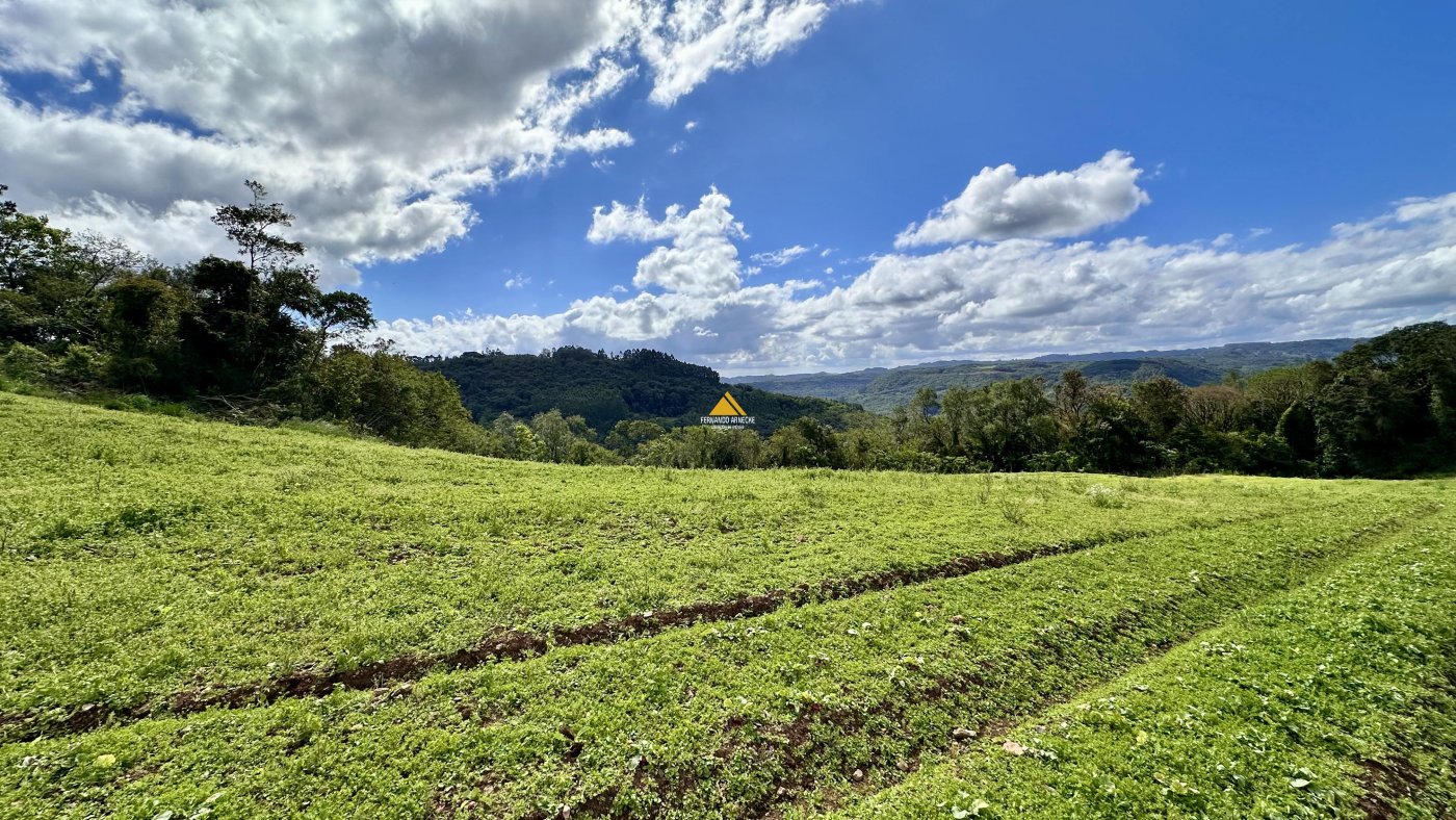 Sítio / Chácara para Venda no bairro Padre Eterno Ilges em Santa Maria do Herval
