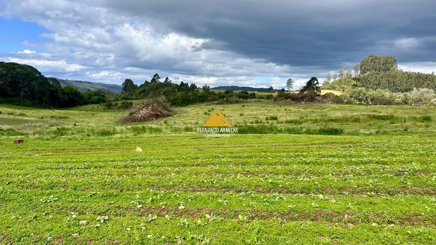 Área 4,5 Hectares em Santa Maria do Herval | Plana + Riacho + Vista | Oportunidade