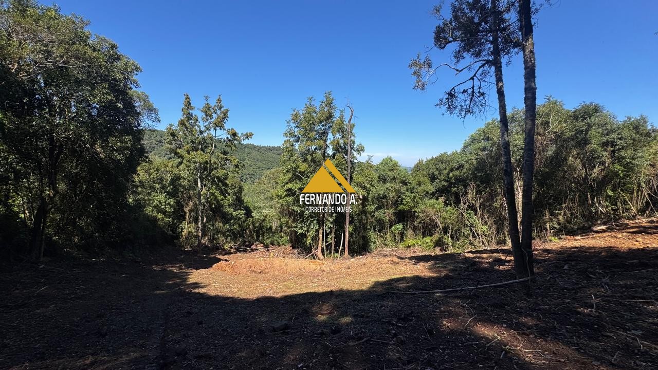 Sítio / Chácara para Venda em Santa Maria do Herval -2 Hectares + Vista Incrível + Próximo a Gramado